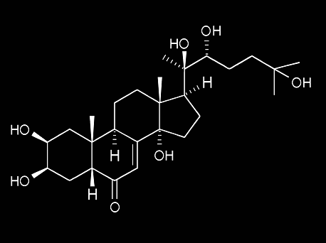 Rhaponticum Carthamoides Ecdysterone